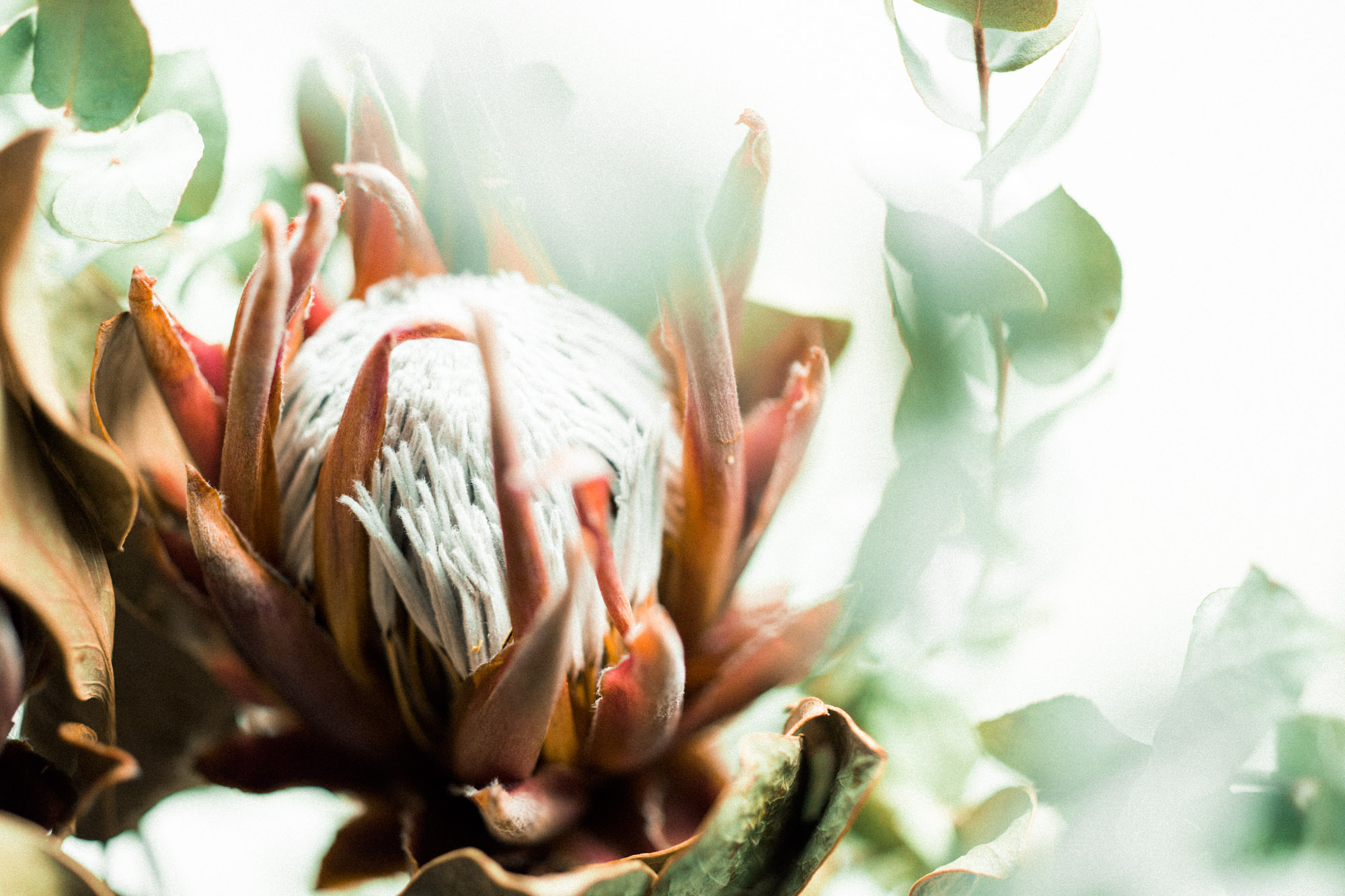 母の日ギフトにおすすめ！『Buaisou』藍染アイテム3選